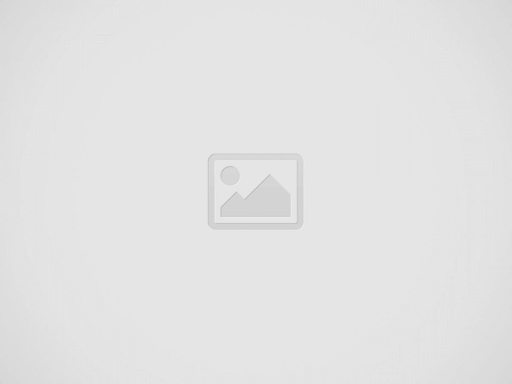 Unlocking the Power of Mutual Funds: A Pathway to Successful Investing